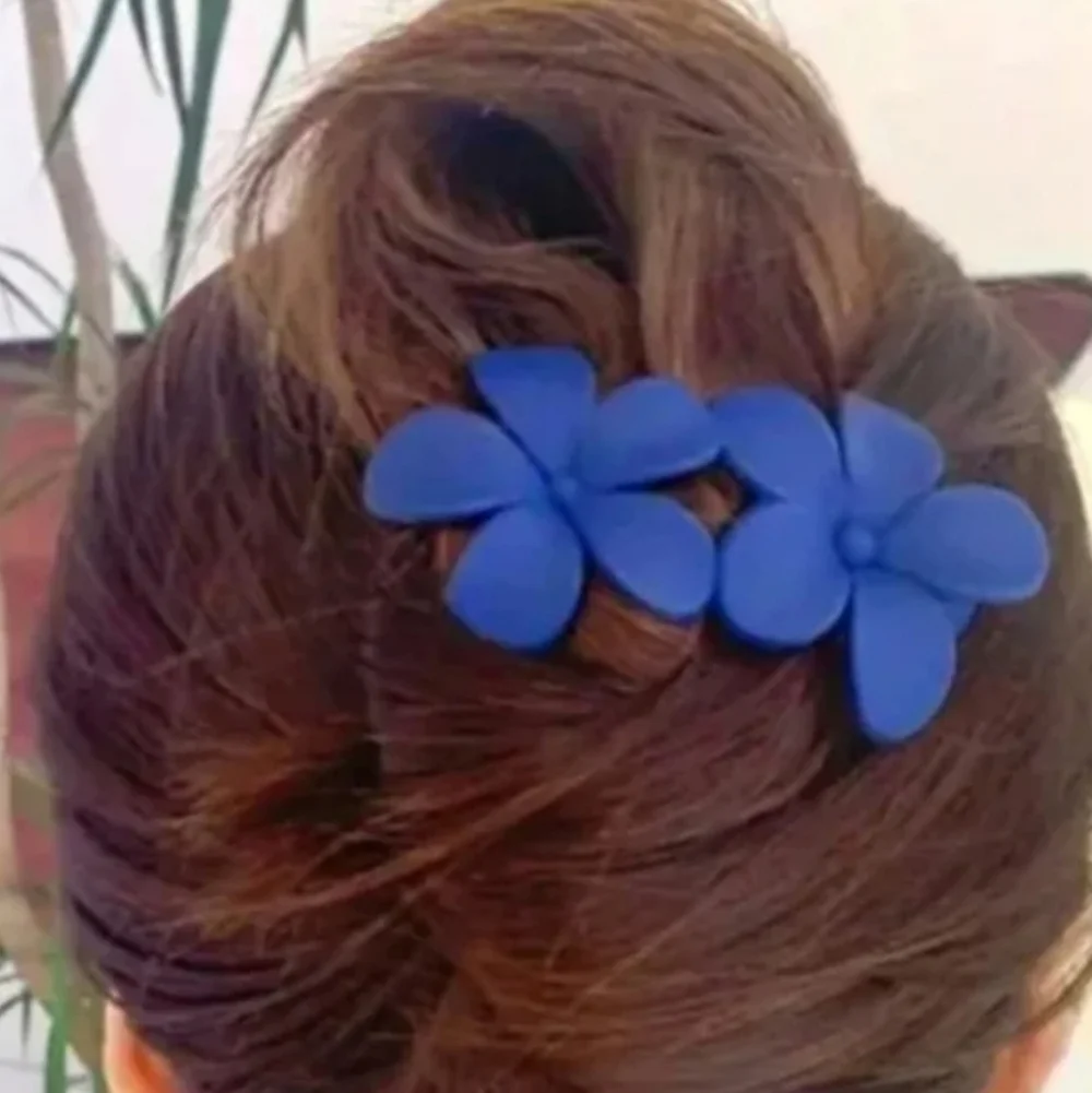 Claw Clip Hair Accessories